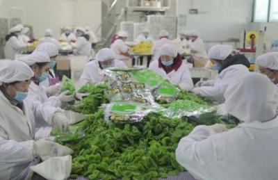 看“四園”促發(fā)展 2019網(wǎng)絡(luò)媒體周至行采風(fēng)活動(dòng)圓滿落幕，聚焦食品銷售創(chuàng)新